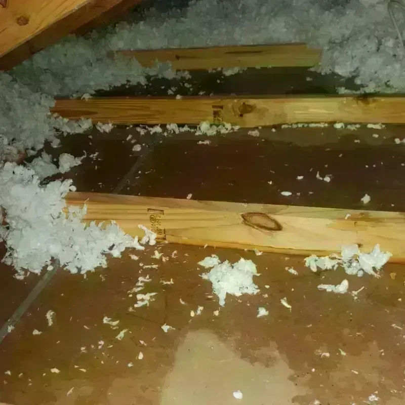 Attic Water Damage in Floyd County, IN