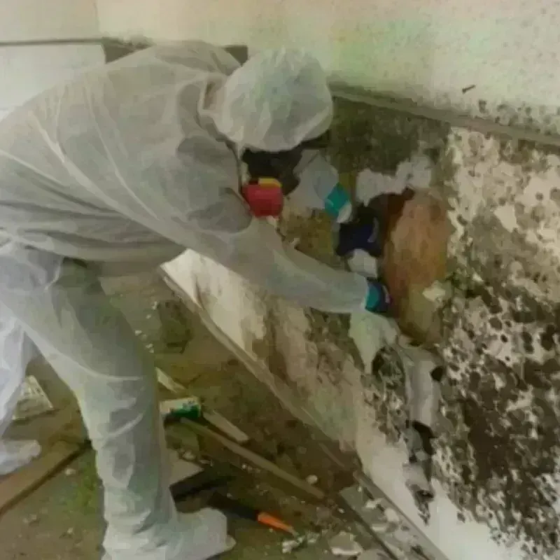 Mold Remediation and Removal in Floyd County, IN